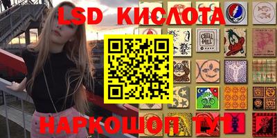 Альфа ПВП Новодвинск