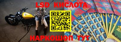 Альфа ПВП Новодвинск