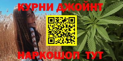 Альфа ПВП Новодвинск