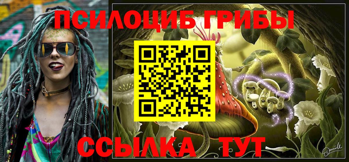 Спасск-Дальний  Псилоцибиновые грибы GOLDEN TEACHER  Вход с VPN 