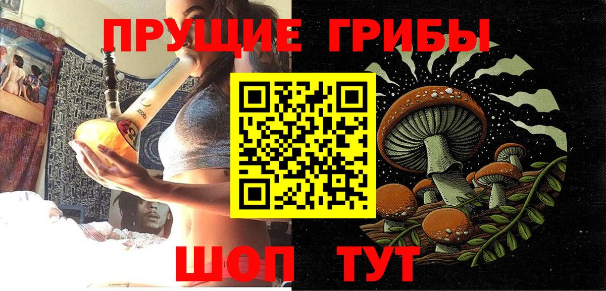 Галлюциногенные грибы Psilocybine cubensis Спасск-Дальний